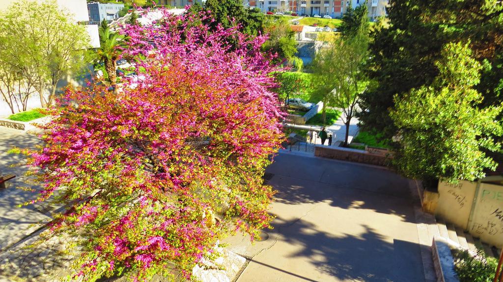 Apartment Priska Split Szoba fotó
